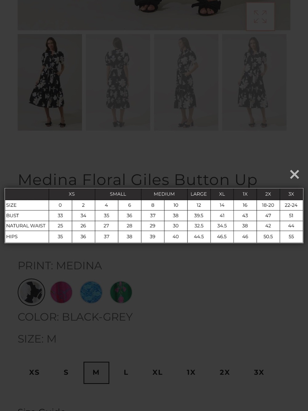 Medina Floral Giles Button Up Midi Dress - Picture 3 of 3